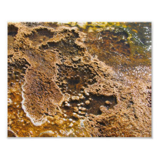 Impression Photo Piscine d'Algea