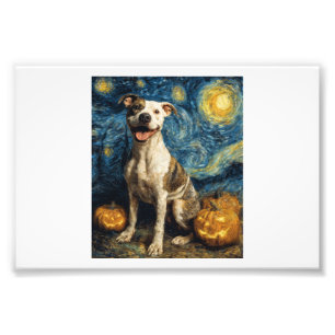 Impression Photo Pit Bull Chien Mignon Halloween Jack O Lanterne Ci