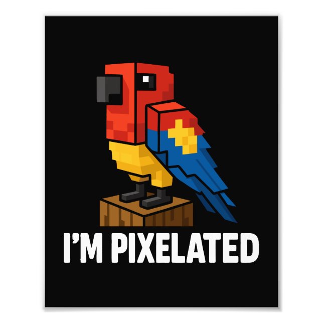 Impression Photo Pixel Pixel Pixel Pixel Parrot Pixelé De La Jungle (Devant)