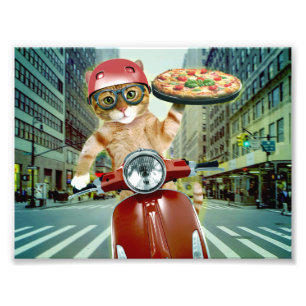Impression Photo Pizza cat - chat - livraison de pizza