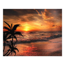 PLAGE AU COUCHER DU SOLEIL BEAUTÉ NATURELLE