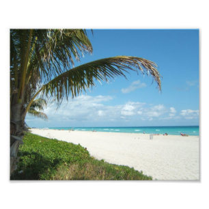 Impression Photo Plage blanche w/Palm de sable