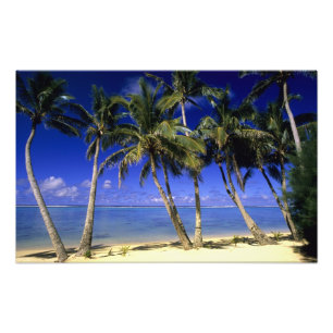 Impression Photo Plage bordée de palmiers Cook Islands 3