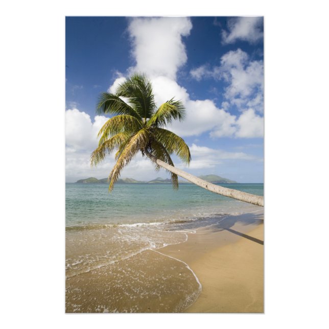 Impression Photo Plage de Coconut Grove à Cades Bay, avec St. (Devant)