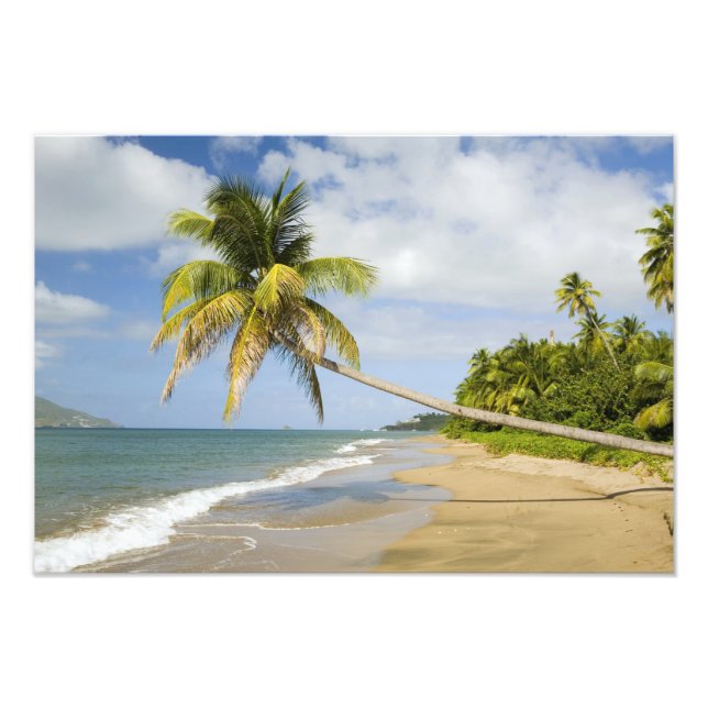 Impression Photo Plage de Coconut Grove à Cades Bay, avec St. 2 (Devant)
