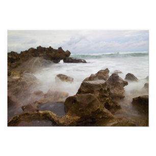 Impression Photo Plage de Coral Cove Park, Floride