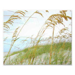 Impression Photo Plage de sable blanc Dune Gris