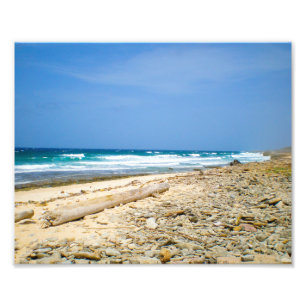 Impression Photo Plage de vagues océaniques avec bois flotté, décor