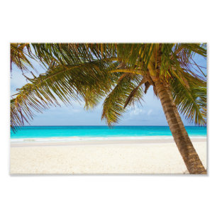 Impression Photo Plage Paradis Tropical