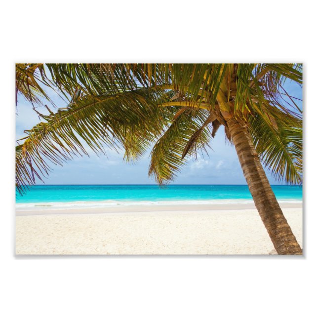 Impression Photo Plage Paradis Tropical (Devant)