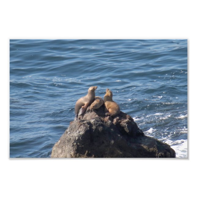 Impression Photo Plage Point Dume State Beach (Devant)
