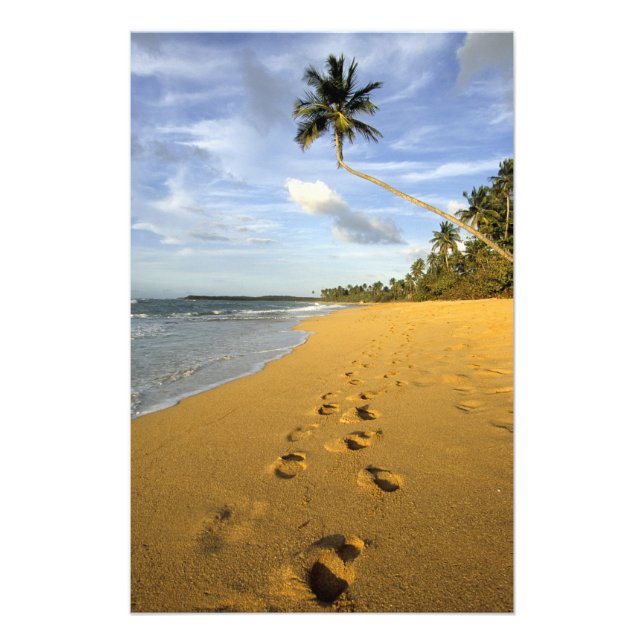 Impression Photo Plage Porto Rico (Devant)
