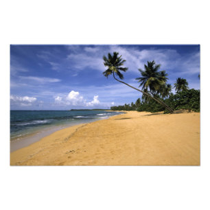 Impression Photo Plage Porto Rico
