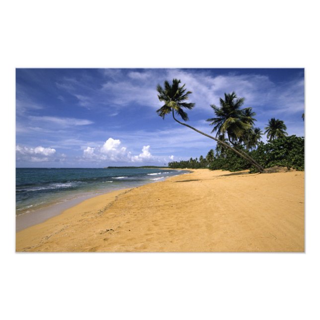 Impression Photo Plage Porto Rico (Devant)