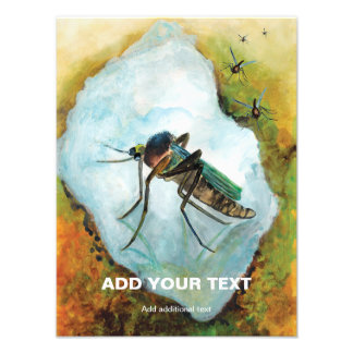 Impression Photo Plaisir estival de moustique ennuyeux - drôle sur