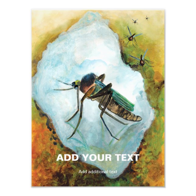 Impression Photo Plaisir estival de moustique ennuyeux - drôle sur  (Devant)