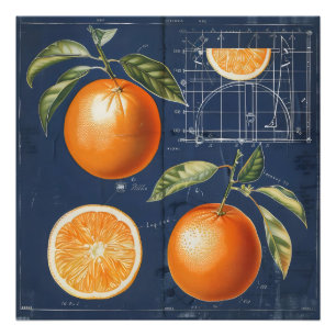 Impression Photo Plan directeur des fruits orange