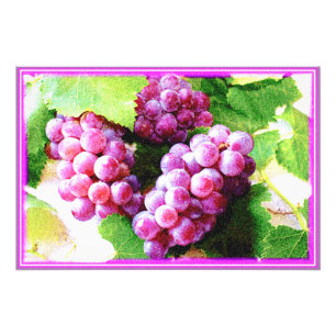 Impression Photo "Plante de fruits de raisins" jolie photo. Command