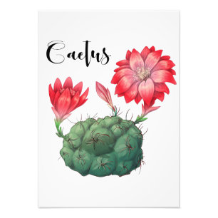 Impression Photo Plante Lover Cactus Plante