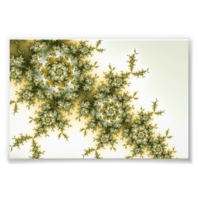Impression Photo Plante sauvage - Mandelbrot Fractal Art (Devant)