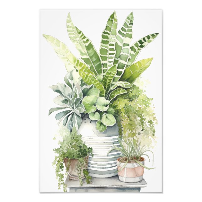 Impression Photo Plantes d'intérieur (Devant)