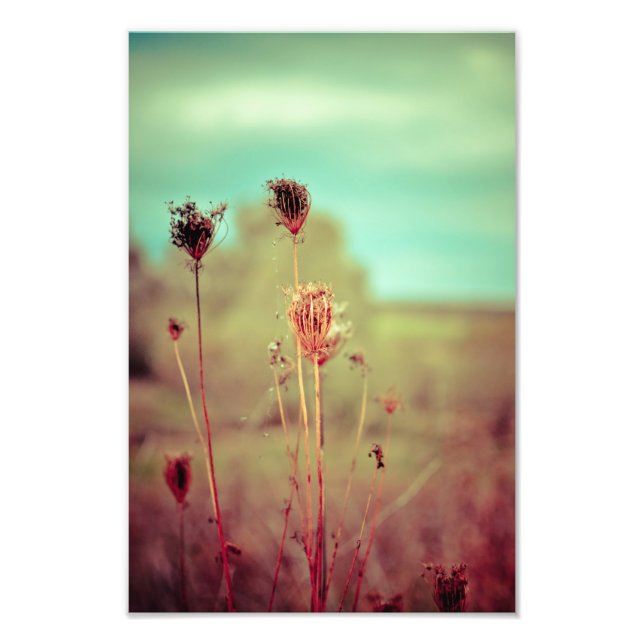 Impression Photo plantes vintages (Devant)