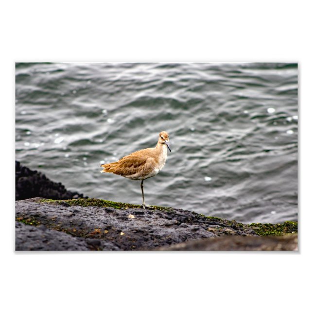 Impression Photo Playa Del Rey (Devant)