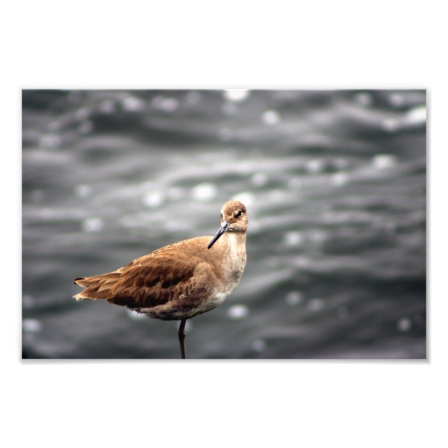 Impression Photo Playa Del Rey (Devant)