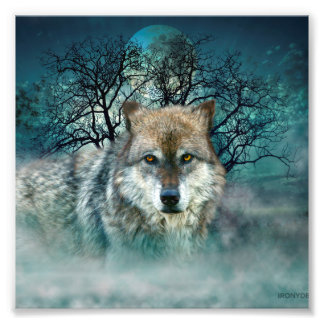 Impression Photo Pleine lune du loup dans le brouillard