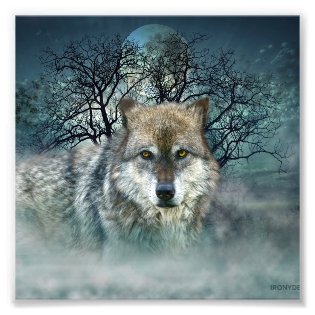 Impression Photo Pleine lune du loup dans le brouillard (Devant)