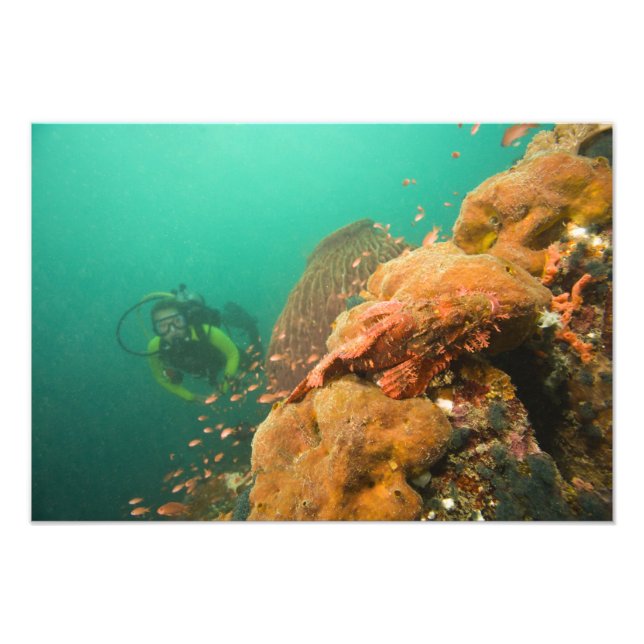Impression Photo plongeur & Scorpionfish Scorpanopsis (Devant)