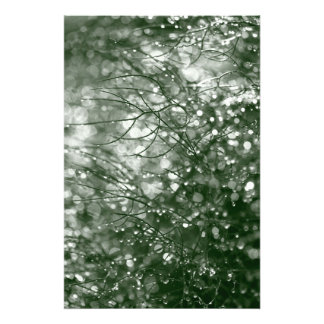 Impression Photo Pludrops