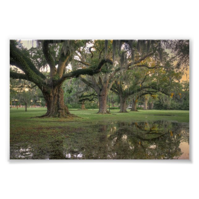 Impression Photo Pluie d'Audubon Park (Devant)