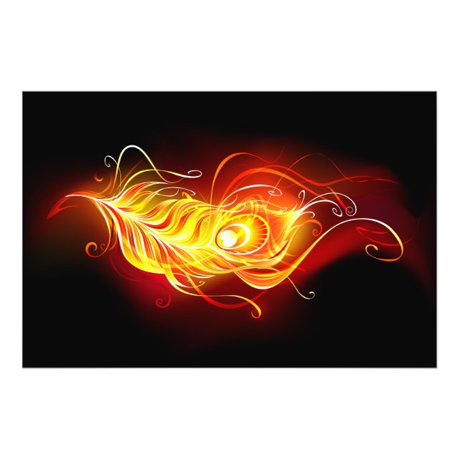 Impression Photo Plume de paon de feu (Devant)