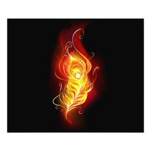 Impression Photo Plume de paon de feu