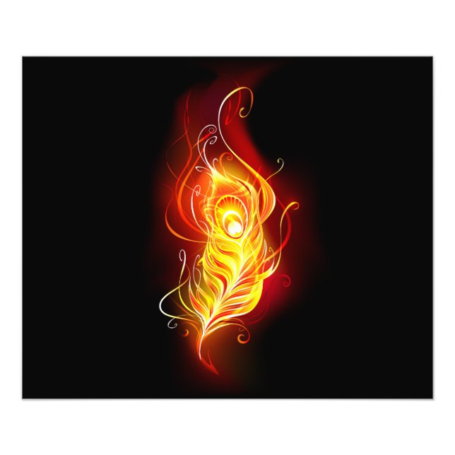 Impression Photo Plume de paon de feu (Devant)