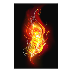 Impression Photo Plume de paon de feu