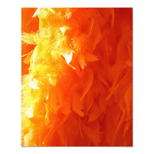 Impression Photo Plumes (Devant)