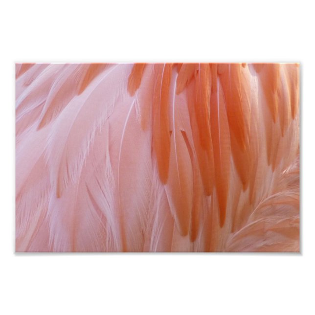 Impression Photo Plumes de Flamant rose dans les tons roses (Devant)