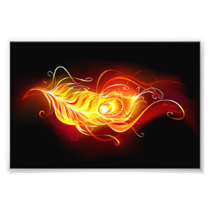 Impression Photo Plumes de paquetage de feu