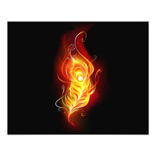 Impression Photo Plumes de paquetage de feu