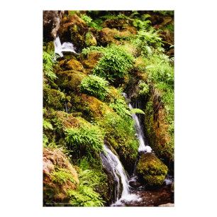 Impression Photo Plus ou moins