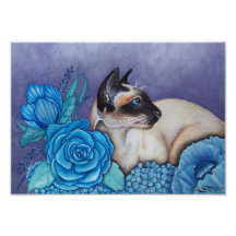 Point Chocolat Siamese