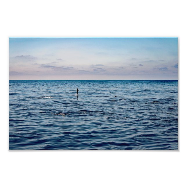 Impression Photo Point Dana (Devant)