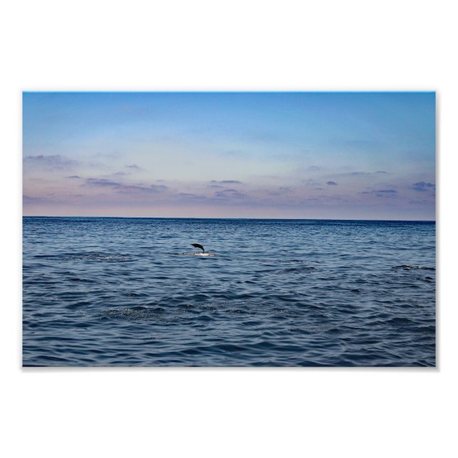 Impression Photo Point Dana (Devant)