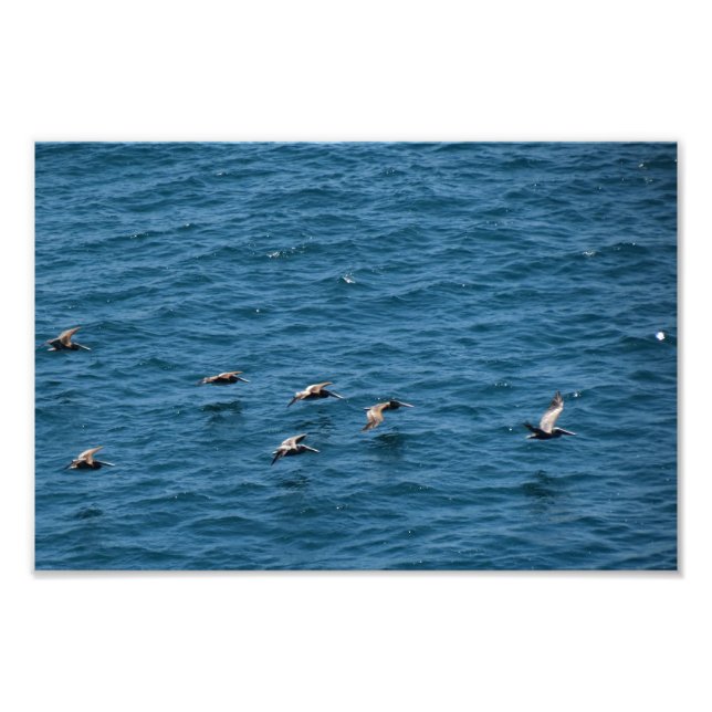 Impression Photo Point Dume (Devant)