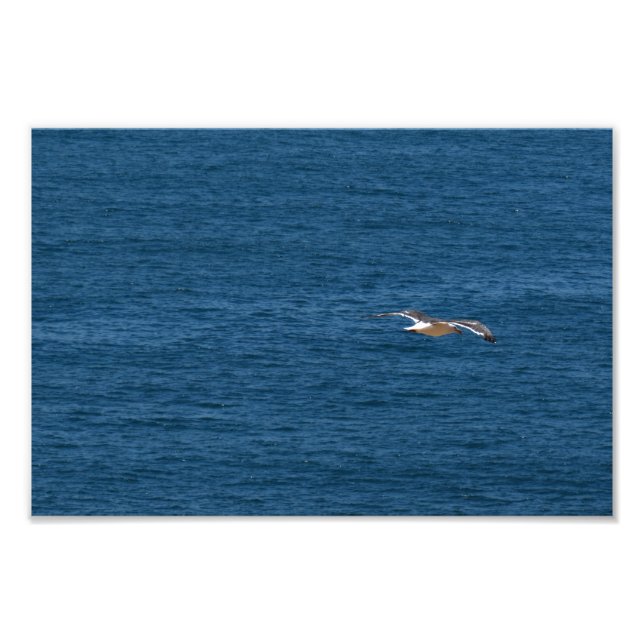 Impression Photo Point Dume (Devant)