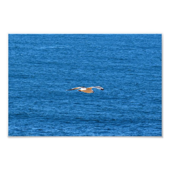 Impression Photo Point Dume (Devant)