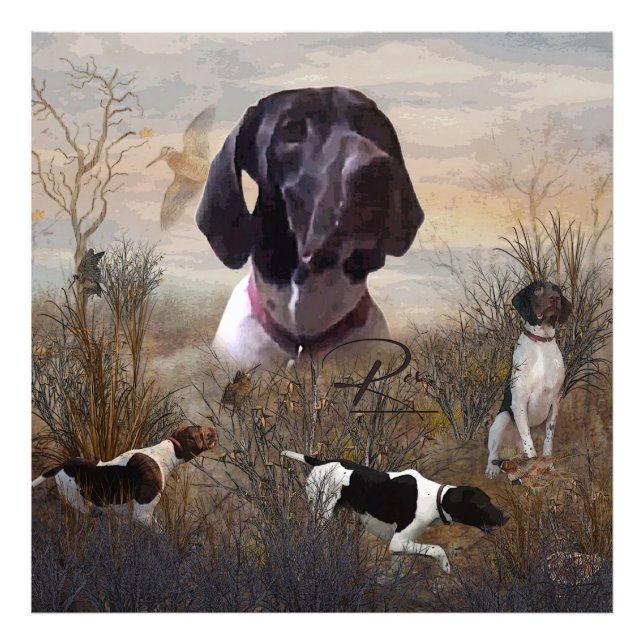 Impression Photo Pointeur allemand à poils courts, bandes Deutsch K (Devant)