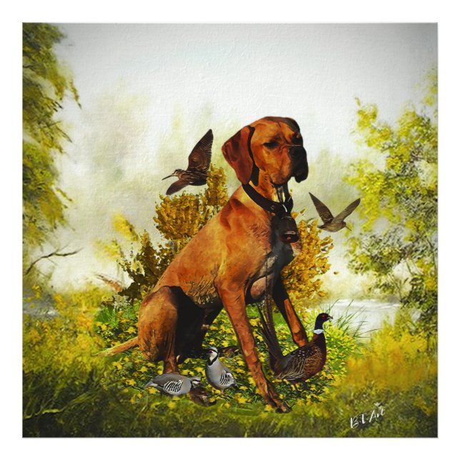 Impression Photo Pointeur anglais, chasse aux oiseaux (Devant)